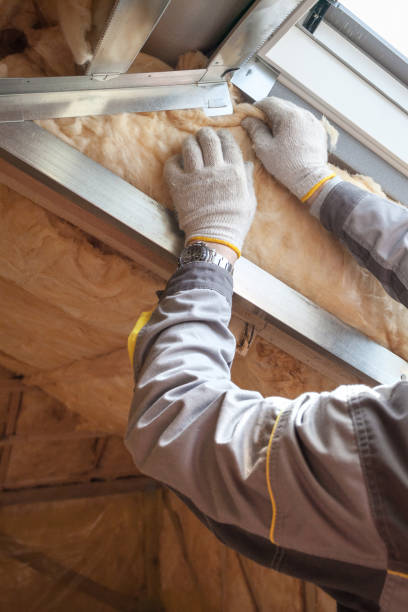 Best Geographic-Specific Insulation Services in Oradell, NJ