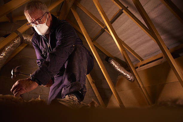 Types of Insulation We Offer in Oradell, NJ